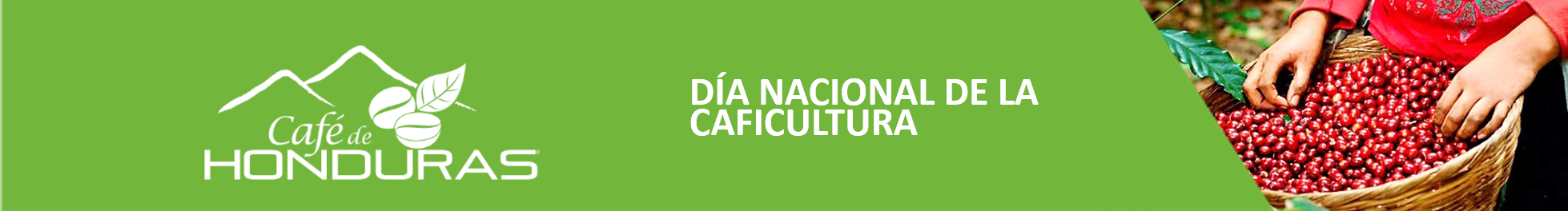 Enacabezado Día Nacional de la Caficultura
