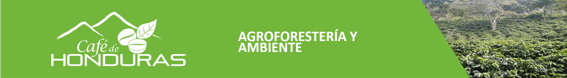 Encabezado Agroforestería y Ambiente