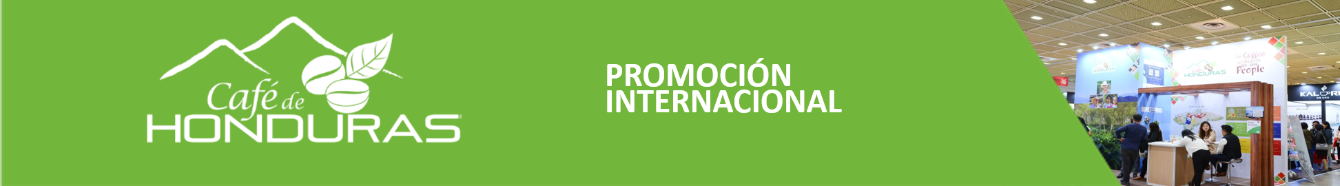 Encabezado Promoción Internacional