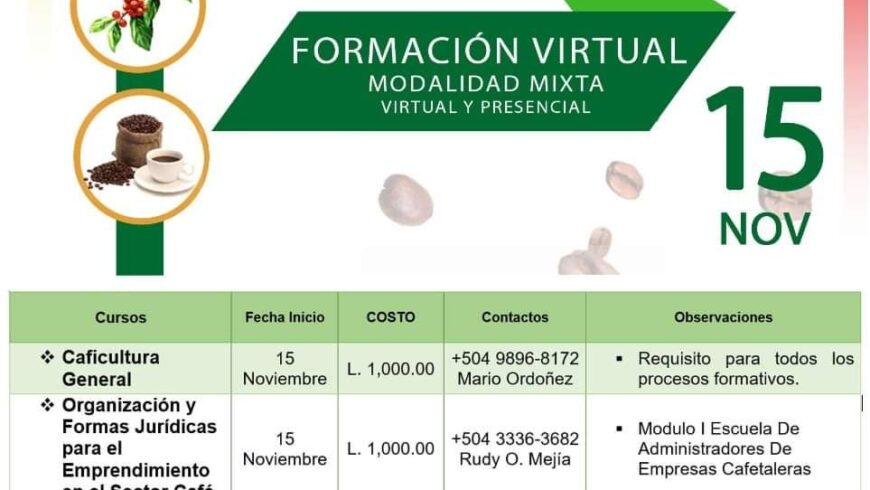 Oferta Formativa
